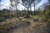 _DSC0897.JPG