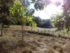 IMG_20220930_104239.jpg