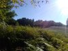 IMG_20220930_104043.jpg