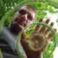 Sabey